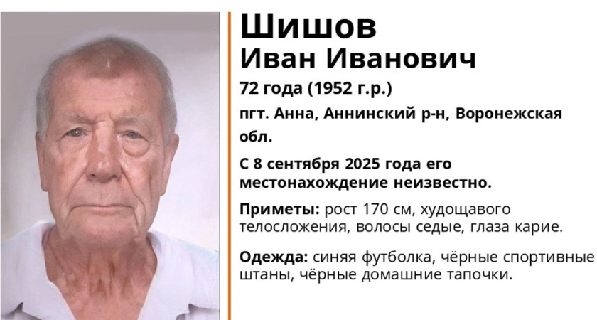 В Аннинском районе пропал 72-летний пожилой мужчина в синей футболке