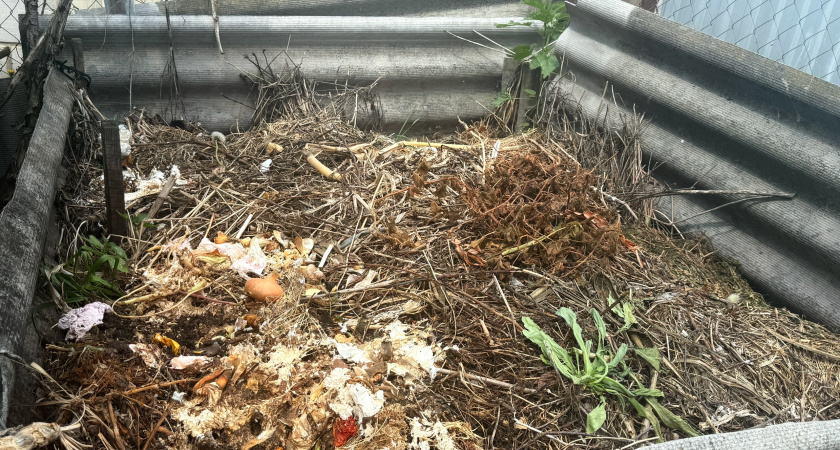 Компост будет преть даже зимой, если знать, что пролить сейчас кучу. Мощный «сжигатель» для активации компоста