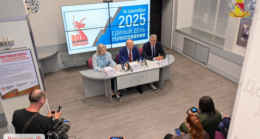 В Воронежской области завершили трёхдневные выборы с явкой 53,8% жителей региона