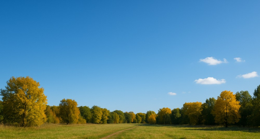 16 сентября в Воронеже ожидается тёплая и солнечная погода без осадков