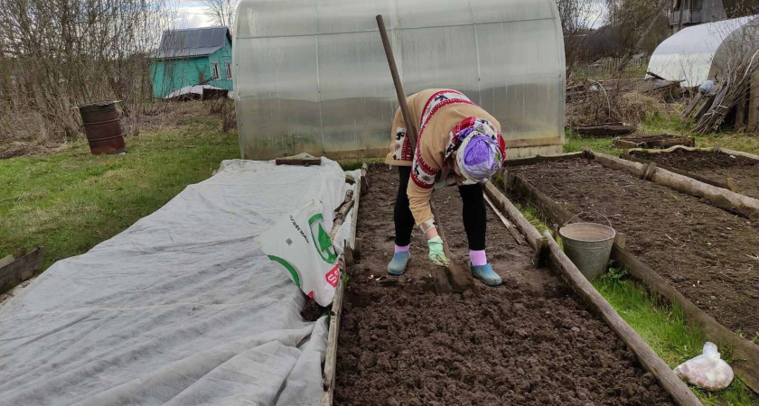 Пачка дешёвой крупы осенью и земля как после КАМАЗа навоза: разбираемся, где правда, а где хитрая уловка
