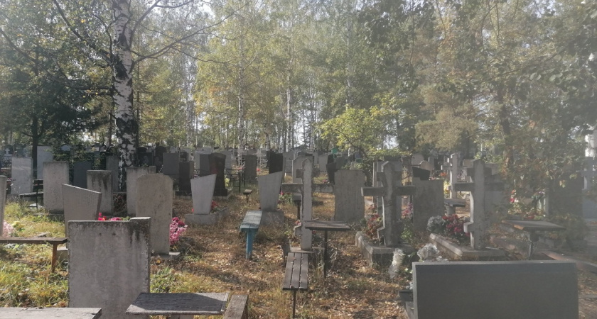 Поклонников Хоя успокоили насчет состояния его могилы в Воронеже