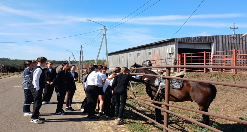 В Петропавловском районе открылся молодёжный клуб профориентации «Время молодых»