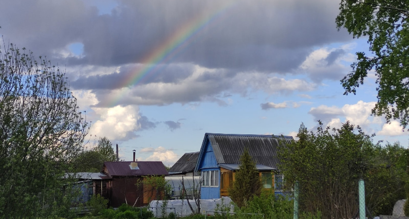 Готовим сад к зиме одной осенней обработкой: избавит сад от парши и вредителей на годы вперед