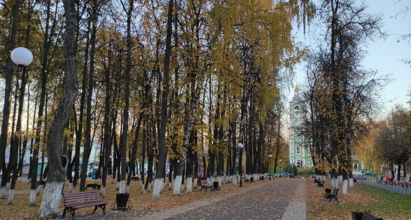 Почему деревья нужно белить осенью, а не весной: садовод рассказала о главной ошибке садоводов