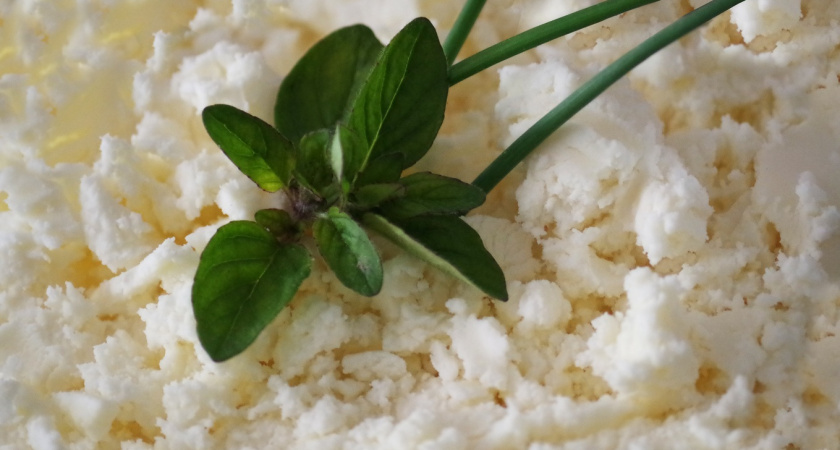 Делаю нежный домашний творог: как из 2 литров молока получить почти килограмм продукта