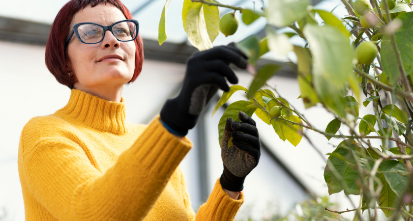 Осенняя обработка сада мочевиной: как защитить деревья от болезней и вредителей