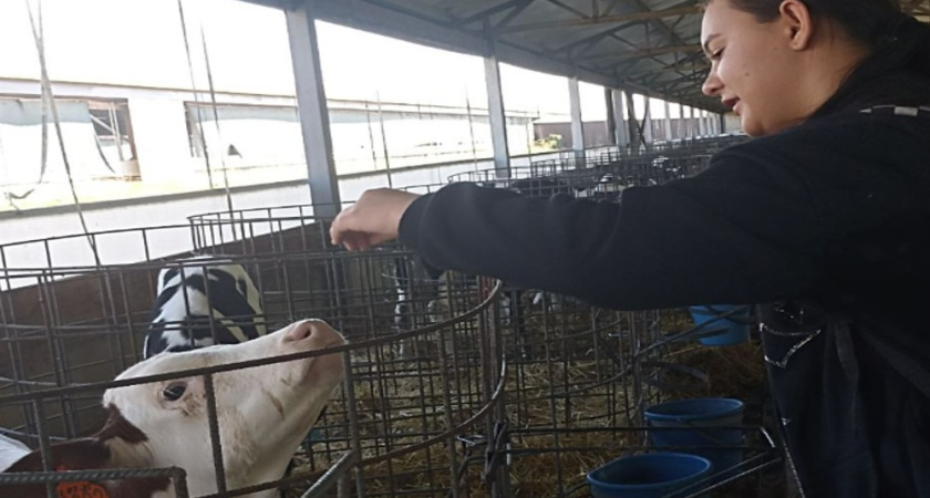 В Кантемировском районе школьники узнали секреты молочного дела на агропредприятии