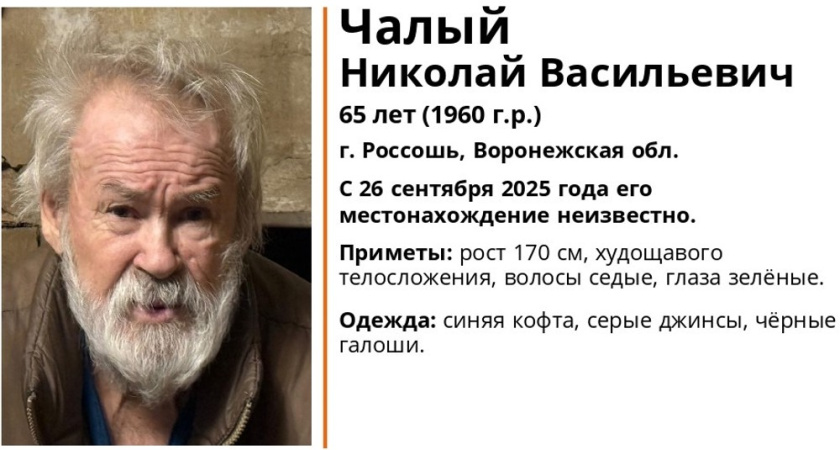 В Россоши ищут 65-летнего мужчину в синей кофте и серых джинсах