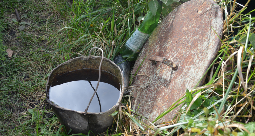 Простой способ сделать землю в теплице мягкой и плодородной: что нужно внести в почву в октябре