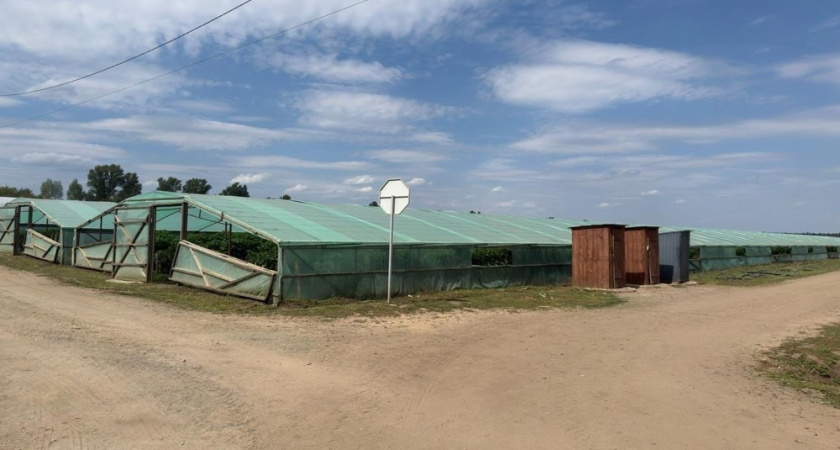 В Богучарском районе главу агрохозяйства обвиняют в незаконном трудоустройстве иностранцев