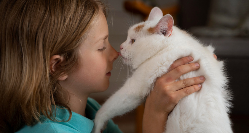 Ученые узнали, что на самом деле чувствует кошка, когда вы ее целуете – совсем не то, что можно подумать