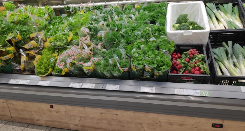 Мыть или не мыть: что будет с укропом и петрушкой, если их не промывать