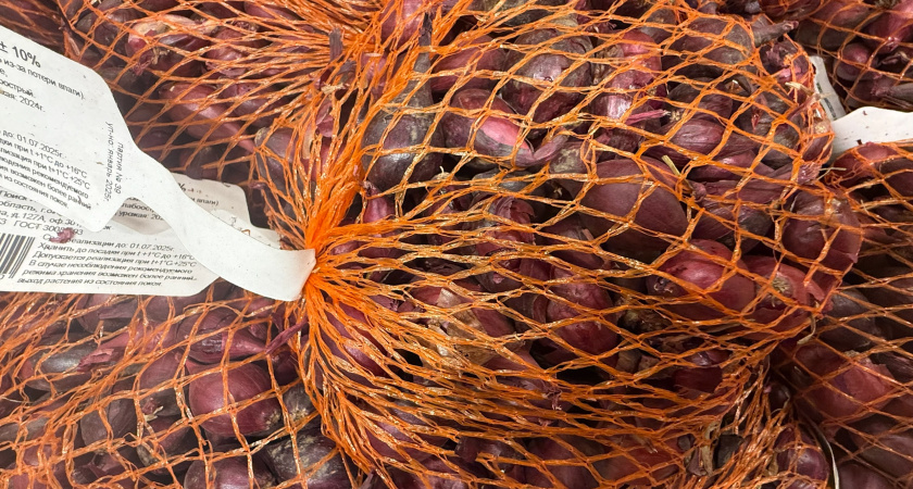 Лук лежит до весны как у бабушки в погребе: 4 хитрости без лишних хлопот и ящиков