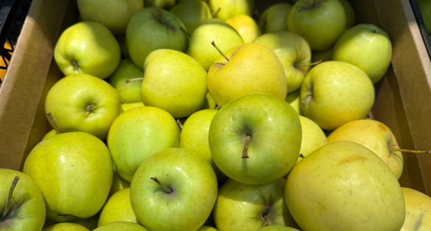 Храню фруктовый урожай 10 лет – важные моменты, которые нельзя упускать