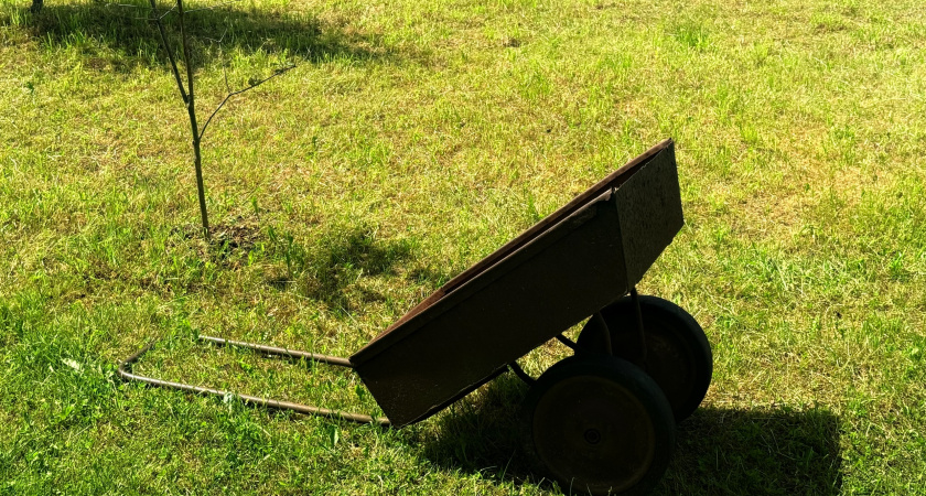 Дача для ленивых: 5 принципов огорода, который растет сам и не требует постоянного ухода