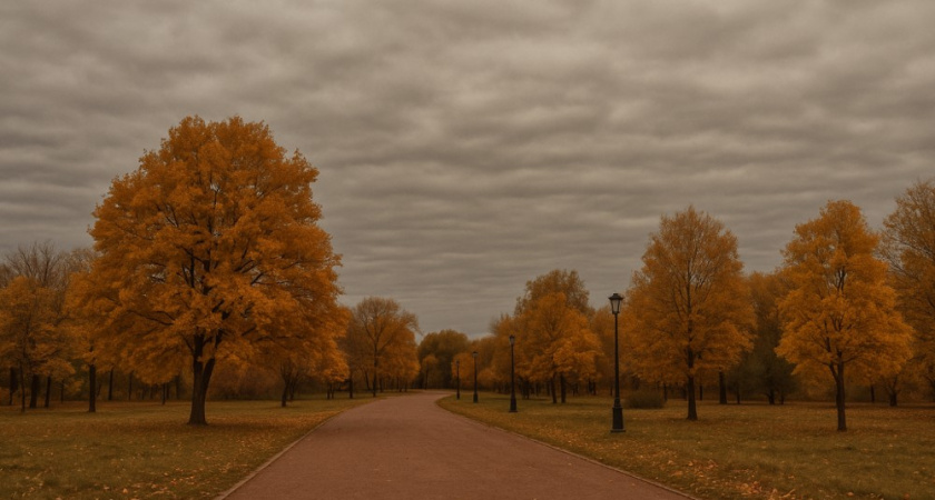 Облачная и спокойная погода без осадков ожидается в Воронеже 7 октября