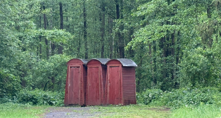 Залил 1 ведро в выгребную яму в октябре — и забыл о проблеме на годы: работает без откачки