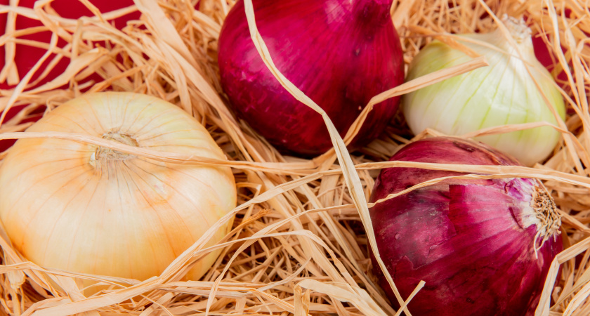 Осенний лук: ваш секрет раннего урожая, о котором вы не знали