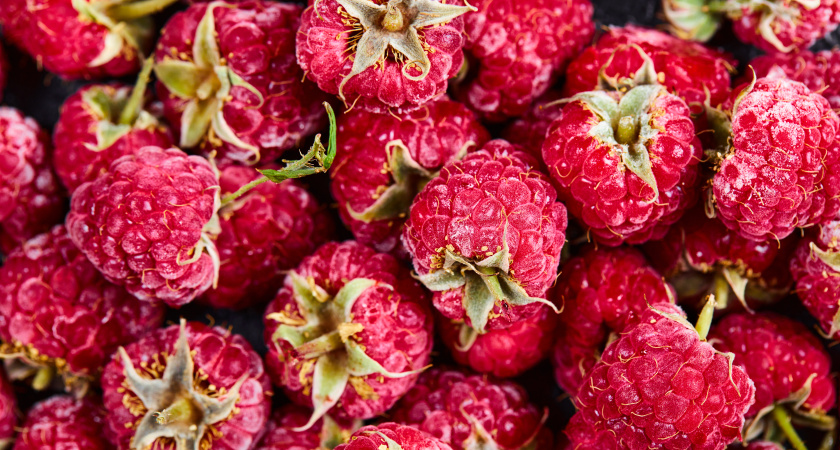 Старый малинник: как вернуть к жизни выдохшиеся кусты