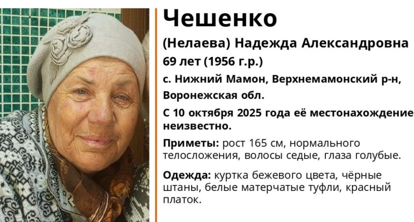 В Верхнемамонском районе разыскивают 69-летнюю женщину в бежевой куртке и красном платке