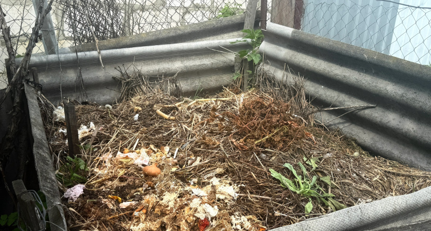 Не сжигайте опавшие листья осенью – это ошибка: вот как превратить их в ценное удобрение