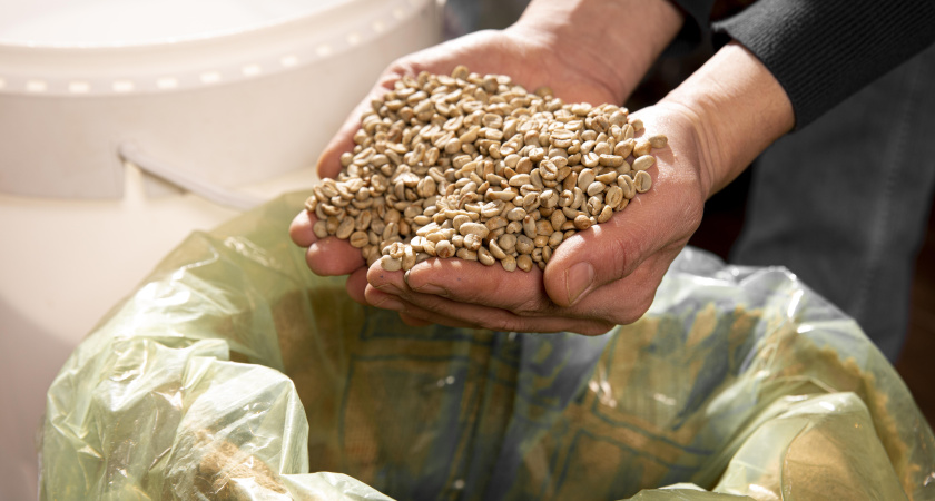 Просеиваю пшено на грядках — почва становится черной и рассыпчатой