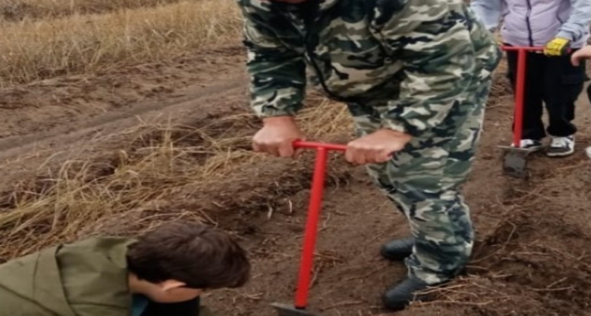 Воронежские школьники высадили 1000 сосен в поддержку акции «Сохраним лес»