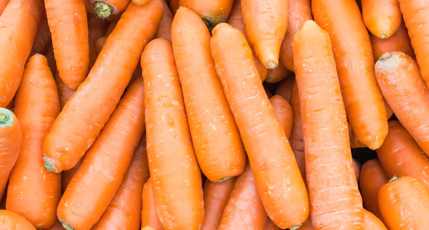 Откуда берется горечь в моркови и как ее избежать