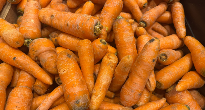 Заготовка моркови на зиму: топ-10 вкусных и полезных способов