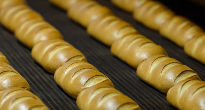 На развитие производственного бизнеса в Воронежской области выделили 50 миллионов рублей