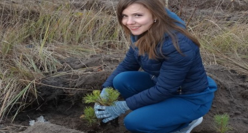 В регионе в рамках акции «Сохраним лес» высадят свыше 69 тысяч деревьев