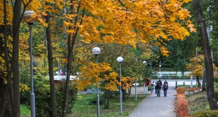Воронежцев приглашают показать красоту города на фотоконкурсе «Золотая осень»