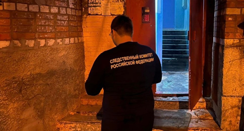 В Воронеже при пожаре в квартире погибли двое мужчин на улице Шишкова