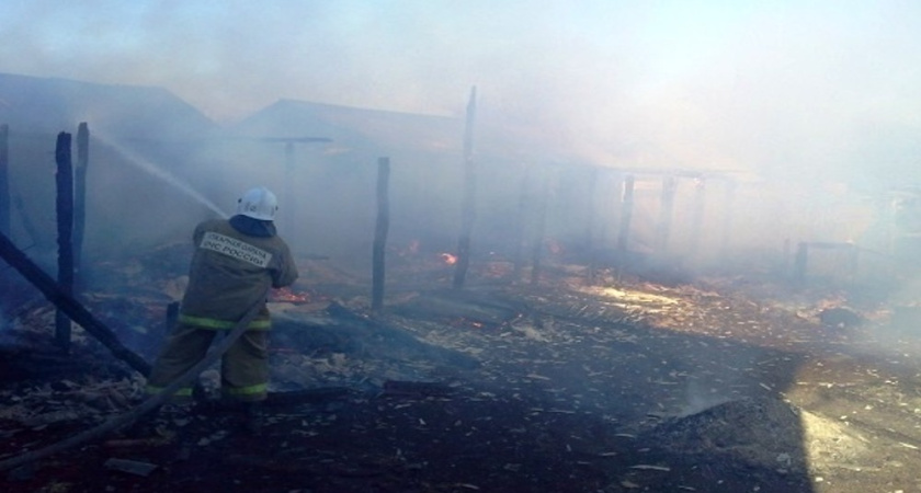 В Хохольском районе огонь полностью уничтожил хозяйственную постройку