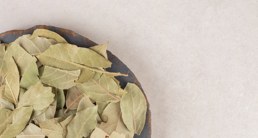 Простой секрет осеннего уюта: что произойдет, если положить лавровый лист на батарею