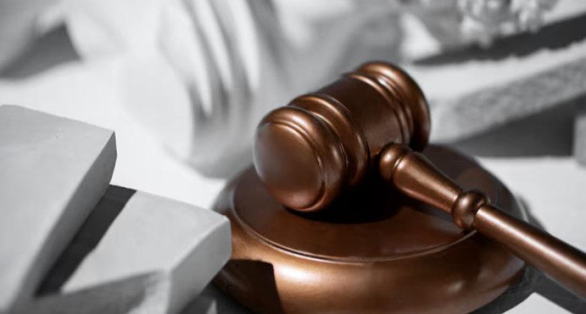 В Воронеже вынесен приговор по делу о мошенничестве на 19 миллионов рублей