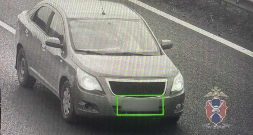 В Воронежской области задержали водителя, не оплатившего 46 административных штрафов