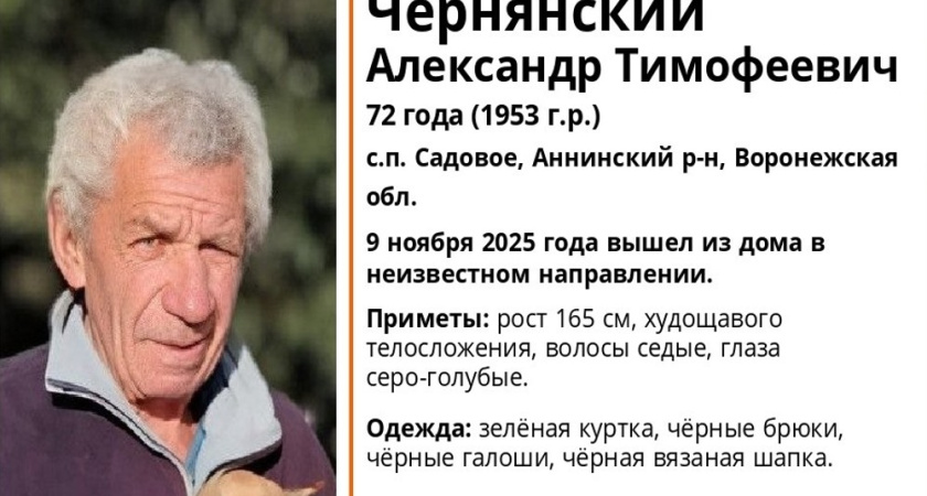 В селе Садовое Аннинского района пропал 72-летний мужчина