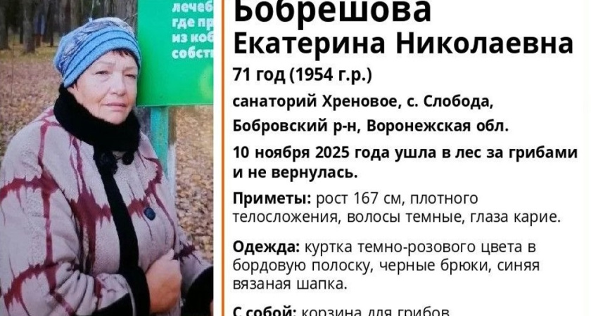 В Бобровском районе ищут ушедшую за грибами и не вернувшуюся 71-летнюю женщину