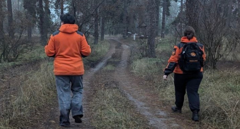 Пропавшую 71-летнюю женщину нашли живой после ночи в лесу под Бобровом