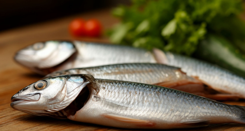 Полезная малосольная скумбрия: готовим дома за сутки