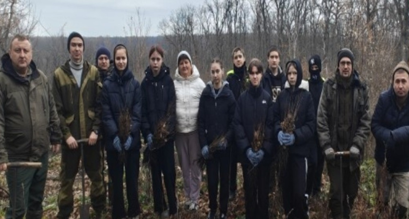 В Бутурлиновском районе высадили более двух тысяч дубов в рамках акции «Сохраним лес»