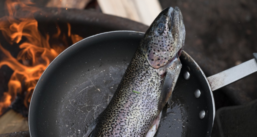 Взял форель из "Светофора" для засолки икры: приготовил дома и обнаружил кое-что - честный отзыв