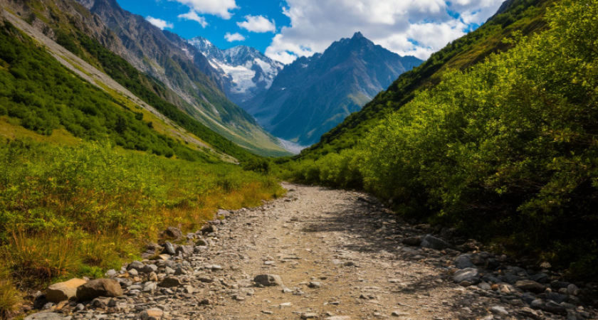 Как путешественники попадают на деньги: неочевидные правила таможни, о которых молчат туроператоры