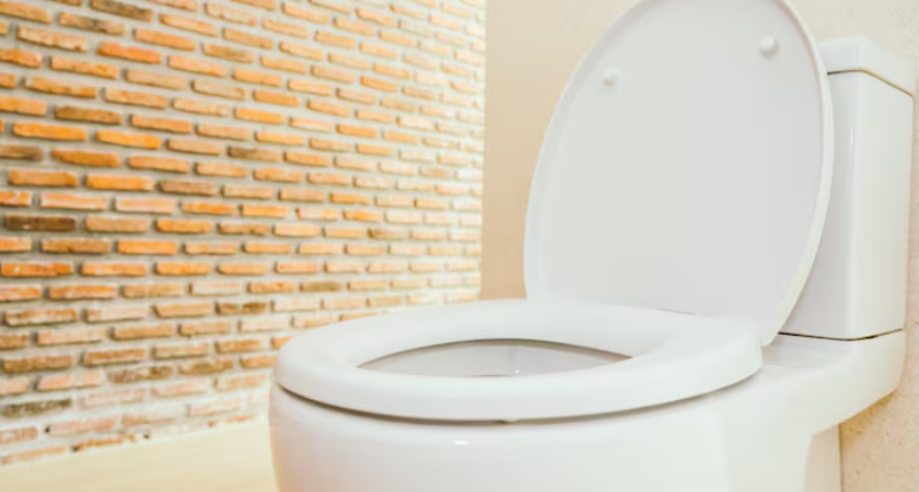 Я перестал покупать химию для унитаза: рассказываю старый домашний секрет против налета и ржавчины