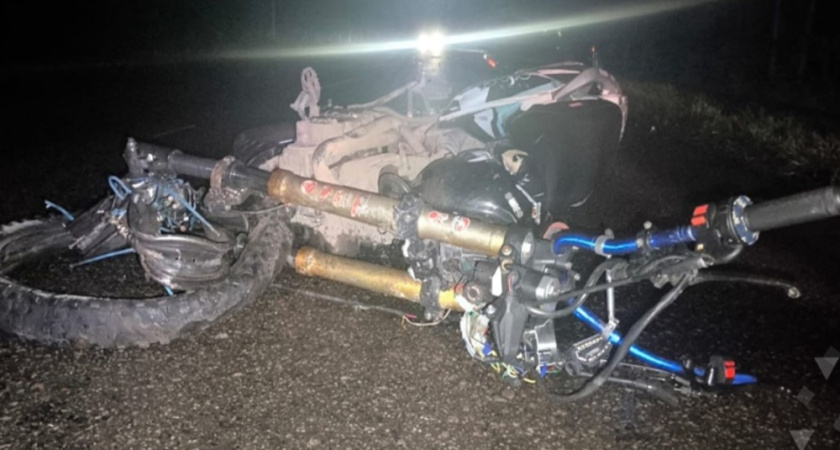 Бастрыкин поручил взять под контроль расследование гибели подростков в ДТП под Рамонью