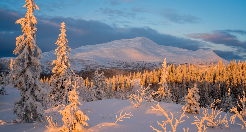 Морозов придется ждать долго: синоптики назвали дату прихода настоящей зимы
