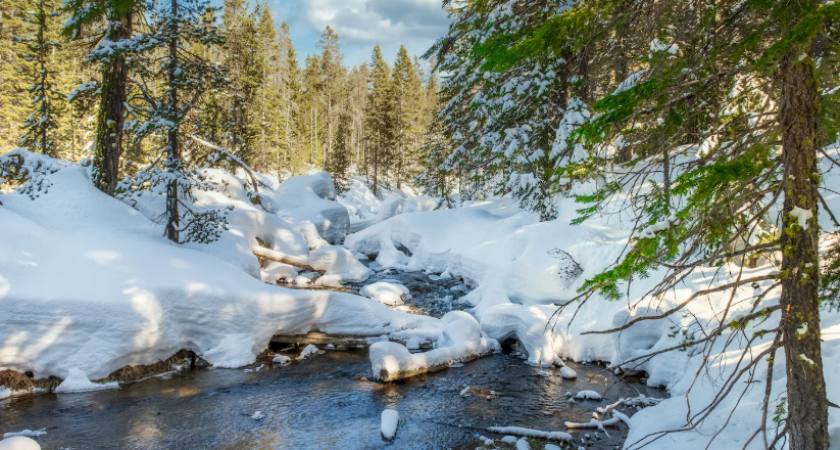 Аномальное тепло в России: почему зима откладывается и чего ждать в начале декабря
