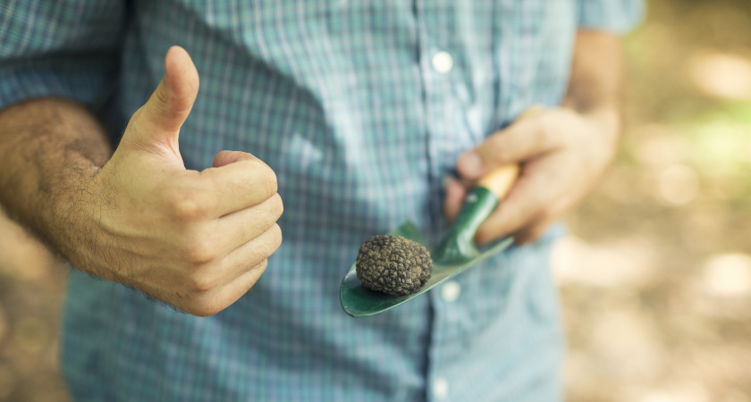 Слизни съели весь урожай - простой метод за копейки, который работает на 100%